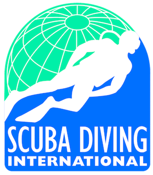 SDI LoGo